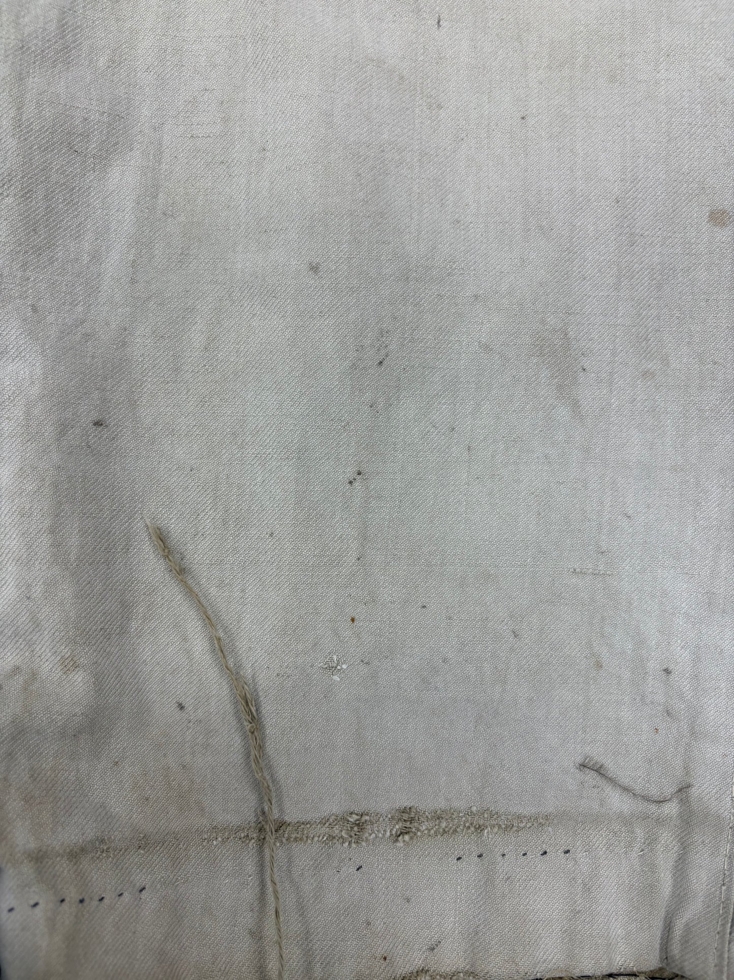 Thrashed workwear pants