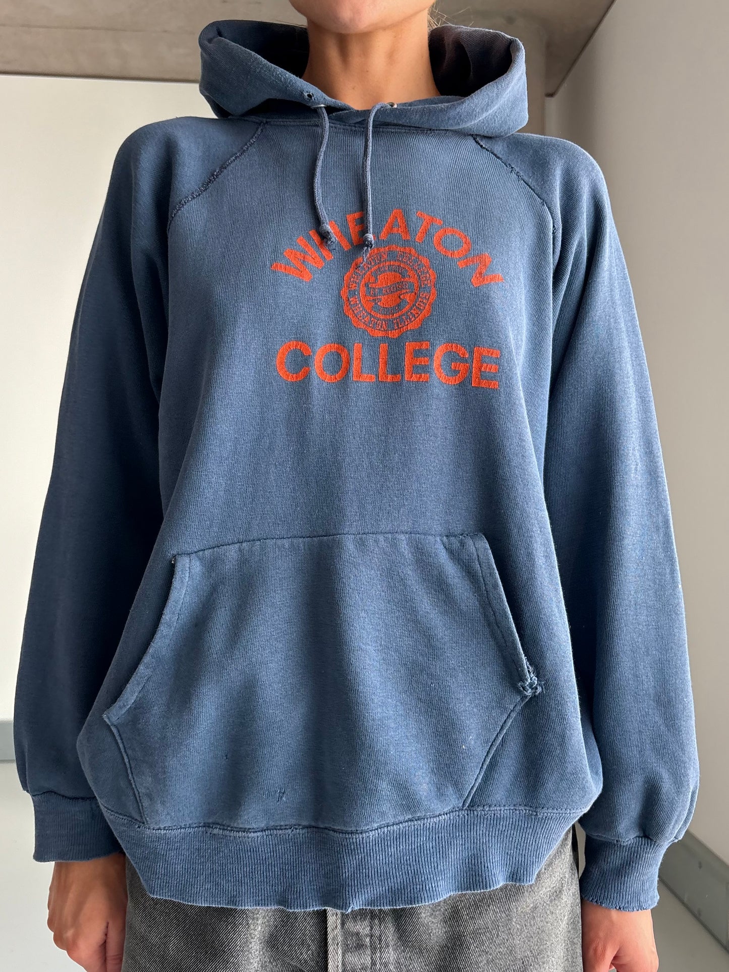 70s champion hoodie